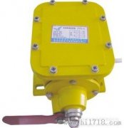 THZL-B-II縱向撕裂開關(guān)，撕裂檢測(cè)裝置，批發(fā)工程案例